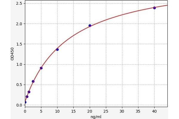 PARP1 ELISA Kit