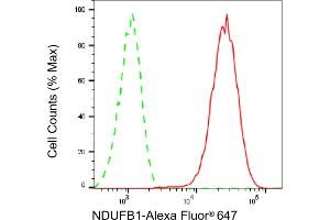 Flow cytometric analysis of NDUFB1 expression in HepG2 cells using NDUFB1 antibody (ABIN7799545), 1:1,000). (Rekombinanter NDUFB1 Antikörper)