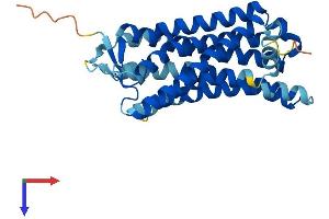 OR2J2 Protein (AA 1-312) (His tag)