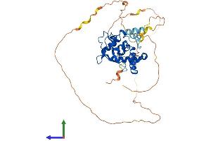 Protein Structure (PS) image for Nuclear Factor I/B (NFIB) (AA 1-420) protein (His tag) (ABIN7549699)