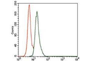 Image no. 2 for anti-BPI Fold Containing Family A, Member 2 (BPIFA2) antibody (ABIN1490989) (BPIFA2 Antikörper)