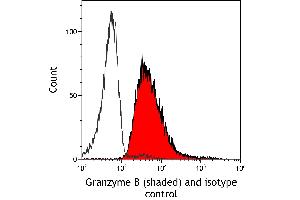 anti-Granzyme B (GZMB) (AA 19-247) antibody