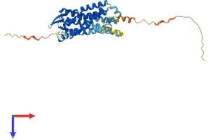 Leukotriene B4 Receptor/BLT Protein (AA 1-351) (His tag)