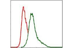 Flow cytometric analysis of MCF-7 cells using ITGB mouse mAb (green) and negative control (red). (ITGB1 Antikörper)