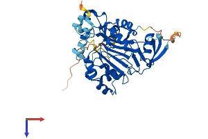 AS3MT Protein (AA 1-376) (His tag)