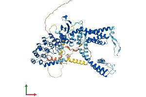 AlphaFold protein structure predicition of Mouse Recombinant Trpv6 Protein, UniprotID Q91WD2