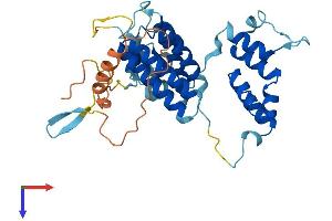 FBXO25 Protein (AA 1-357) (His tag)