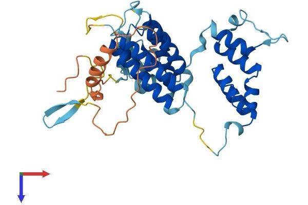 FBXO25 Protein (AA 1-357) (His tag)