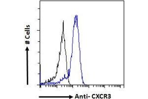 ABIN334381 Flow cytometric analysis of paraformaldehyde fixed HepG2 cells (blue line), permeabilized with 0. (CXCR3 Antikörper  (C-Term))