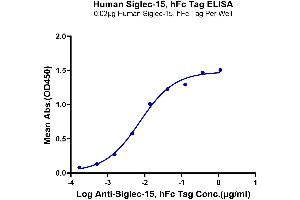 ELISA image for Sialic Acid Binding Ig-Like Lectin 15 (SIGLEC15) (AA 24-260) protein (Fc Tag) (ABIN7275593)