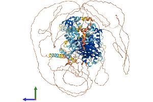 AlphaFold protein structure predicition of Mouse Recombinant Plch2 Protein, UniprotID A2AP18