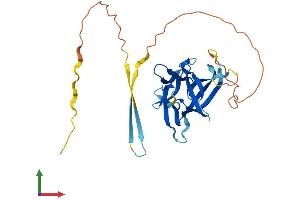 Protein Structure (PS) image for Interleukin 33 (IL33) (AA 1-266) protein (His tag) (ABIN7558946)