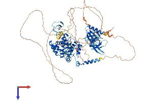 ARHGAP12 Protein (AA 1-838) (His tag)