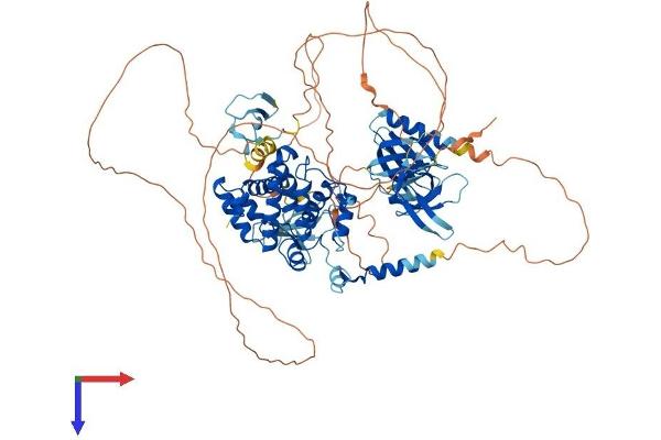 ARHGAP12 Protein (AA 1-838) (His tag)