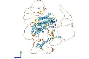 Protein Structure (PS) image for Connector Enhancer of Kinase Suppressor of Ras 2 (CNKSR2) (AA 1-1032) protein (His tag) (ABIN7564297)