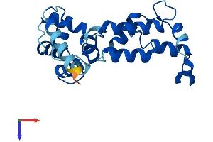CAPSL Protein (AA 1-208) (His tag)