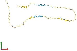 AlphaFold protein structure predicition of Human Recombinant LINC01465 Protein, UniprotID Q8N7H1