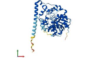 Protein Structure (PS) image for Epoxide Hydrolase 4 (EPHX4) (AA 1-359) protein (His tag) (ABIN7557921)