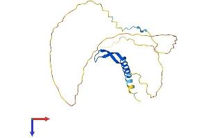 BCL7A Protein (AA 1-210) (His tag)