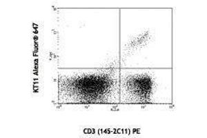 Flow Cytometry (FACS) image for anti-TCR V beta 11 antibody (Alexa Fluor 647) (ABIN2658017) (TCR V beta 11 Antikörper (Alexa Fluor 647))