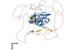 DENND1A Protein (AA 1-1009) (His tag)