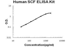 Human SCF PicoKine ELISA Kit standard curve