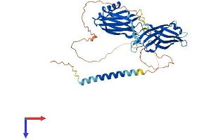 SYT11 Protein (AA 1-431) (His tag)