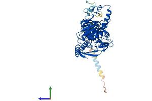 AlphaFold protein structure predicition of Mouse Recombinant B4galnt2 Protein, UniprotID Q09199
