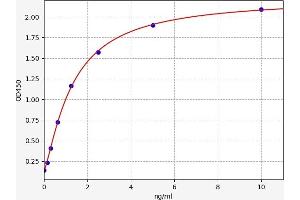 TK1 ELISA Kit