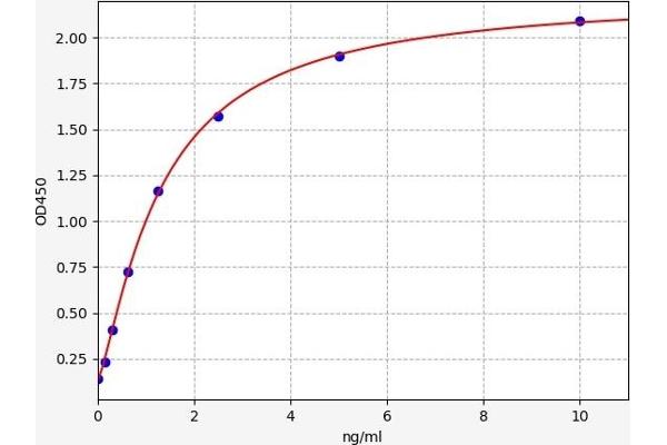 TK1 ELISA Kit