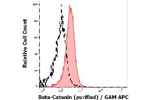 Separation of MCF-7 cells stained using anti-beta-Catenin (EM-22) purified antibody (concentration in sample 9 μg/mL, GAM APC, red-filled) from MCF-7 cells unstained by primary antibody (GAM APC, black-dashed) in flow cytometry analysis (intracellular staining). (beta Catenin Antikörper)