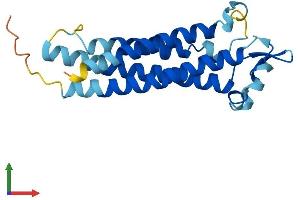 AlphaFold protein structure predicition of Human Recombinant TM4SF5 Protein, UniprotID O14894