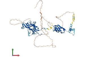 Protein Structure (PS) image for Early B-Cell Factor 3 (EBF3) (AA 1-596) protein (His tag) (ABIN7546650)