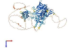 OSBPL5 Protein (AA 1-874) (His tag)