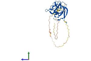 AlphaFold protein structure predicition of Mouse Recombinant Fgf14 Protein, UniprotID P70379
