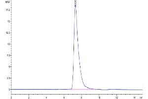 Size-exclusion chromatography-High Pressure Liquid Chromatography (SEC-HPLC) image for Tumor Necrosis Factor Receptor Superfamily, Member 19 (TNFRSF19) (AA 30-170) protein (Fc Tag) (ABIN7275757)