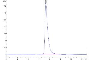 The purity of Human TNFRSF19 is greater than 95 % as determined by SEC-HPLC. (TNFRSF19 Protein (AA 30-170) (Fc Tag))