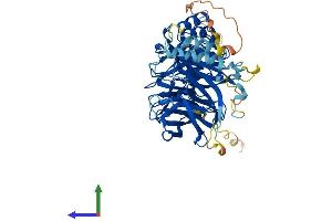 Protein Structure (PS) image for F-Box and WD Repeat Domain Containing 5 (FBXW5) (AA 1-566) protein (His tag) (ABIN7553893)