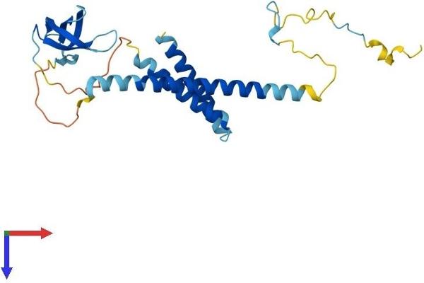 SMNDC1 Protein (AA 1-238) (His tag)