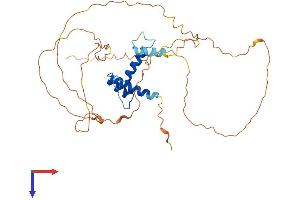 SSBP2 Protein (AA 1-361) (His tag)