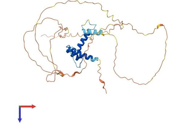 SSBP2 Protein (AA 1-361) (His tag)