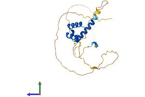 AlphaFold protein structure predicition of Mouse Recombinant Hoxc6 Protein, UniprotID P10629