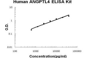 Human ANGPTL4 PicoKine ELISA Kit standard curve
