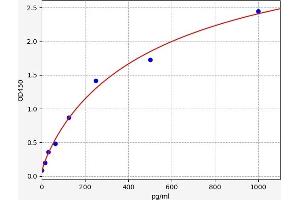 Typical standard curve (Catalase ELISA Kit)
