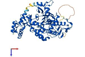 UAP1 Protein (AA 1-522) (His tag)