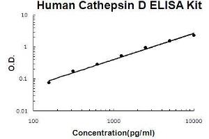 Human Cathepsin D PicoKine ELISA Kit standard curve (Cathepsin D ELISA Kit)