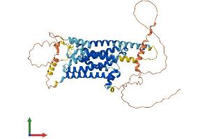 Protein Structure (PS) image for Dopamine Receptor D5 (DRD5) (AA 1-478) protein (His tag) (ABIN7558737)