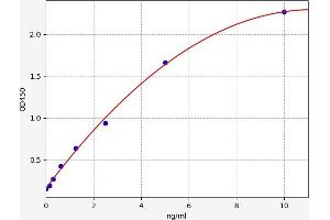 TLR1 ELISA Kit