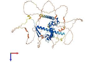 AXUD1 Protein (AA 1-583) (His tag)