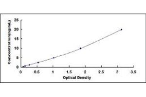 CPSF1 ELISA Kit